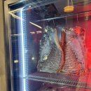 시흥시청 | [시흥시청 맛집] 드리아이에이징 숙성삼겹살 숯성고기 시흥시청본점 솔직후기 (주차안내)