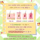 강서더힐동물병원 네이버블로그