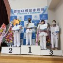 강찬태권도장 이미지