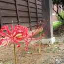 김제아리랑농원 이미지