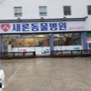 새론동물병원 이미지