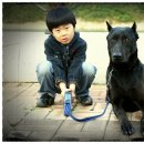 산책 Daum카페