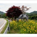 치악산둘레길 5코스 서마니강변길 이미지