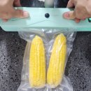 🌽이마트 초당옥수수 후기｜찜기로 맛있게 삶는 법 + 진공포장 보관 꿀팁까지! (재방문 구매 인증)