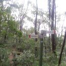제 495차 10월 1일 (월요일) 청계산 ( 산림욕 ) 산행 공지 이미지