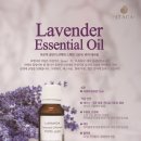 라벤더스파 이미지