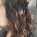 지오스파 | 파주 스타필드빌리지 운정역 미용실 시원한 헤드스파 후기 : 프리미엄이가자 스타필드빌리지 운정점