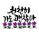 캘리그라피(기초) 이미지