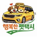 행복펫 | ## 🐶🐱 반려동물 이동 걱정 끝! 행복한 펫택시 이용 후기 &amp; 안내 🚕
