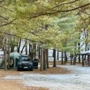 블룸사이드 이미지