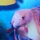 한국폴리텍 V 대학 익산캠퍼스 이미지