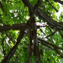 동궁초등학교 이미지