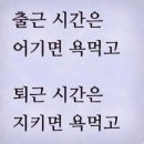 313번째 / 꽁꽁~숨어라..머리카락 보일라 ㅎ 이미지