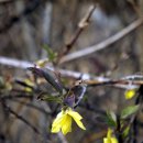 요산마을 이미지