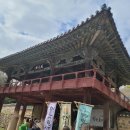 일양여행사 네이버블로그