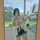 김수경 | 김수경 박사가 만든 건강 다이어트 두빼빼 체인지업 복용 후기