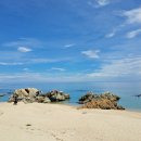 울산회식당 이미지