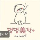 댕댕미작 네이버블로그