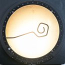 코뿔소안경원 이미지