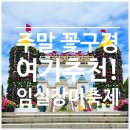 임실 정육식당 | 임실N장미축제 후기｜무료인데 기대 이상이었던 꽃축제