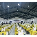 반려견스타일리스트 자격취득과정-기초 이미지