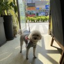 자연앤동물병원 이미지