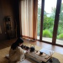 청초목장 | 제주 표선 남원 가족 숙소 &#39;폴개우영&#39;