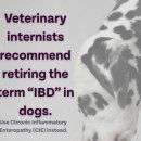 인천반려동물농장 이미지