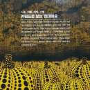 (주)네오커스 | [책상] 어쩌다 현대미술 - 수지 호지