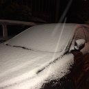 다목적광장 야영장 이미지