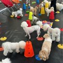 모노모노몽 이미지