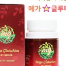 퀀텀비즈