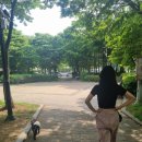 개나리공원 농구장 이미지