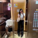 드림아일랜드 | 모리셔스 신혼여행사 드림아일랜드 상담 후기