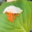 인천석바위시장 회 맛집 찾는다면 석바위지혜수산 재방문 후기