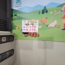 신기수목장 이미지