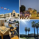 석문생각나무작은도서관 | 미국 리버사이드 국외출장 후기 | 캘리포니아 대학교 / 리버사이드 도서관 / 컨벤션 센터 방문