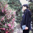 백양루시드 이미지