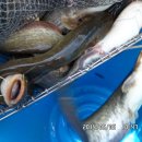 노지하우스 이미지