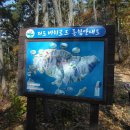 12월2일(수) 경남/마산 저도(비치로드) 용두산 둘레길 트레킹 ^^ 이미지