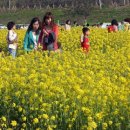 성덕동-4 이미지