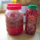 오미자 효소의 효능 이미지