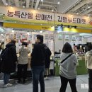 농업회사법인(유)삼안팜 | 수원 광교/수원메가쇼2023 시즌2 박람회 방문 후기♡ 시식 엄청! 양손 가득 사온 후기(내돈내산), +추천...