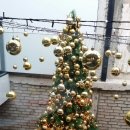 레몬당구장 이미지