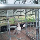 석암농장 이미지