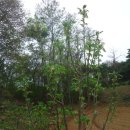 남구-021 이미지