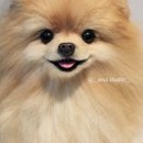 엘시티2층365하나약국 이미지