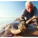 가오리PC 이미지