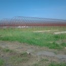 길림농장 이미지