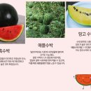 베리팜쇼핑